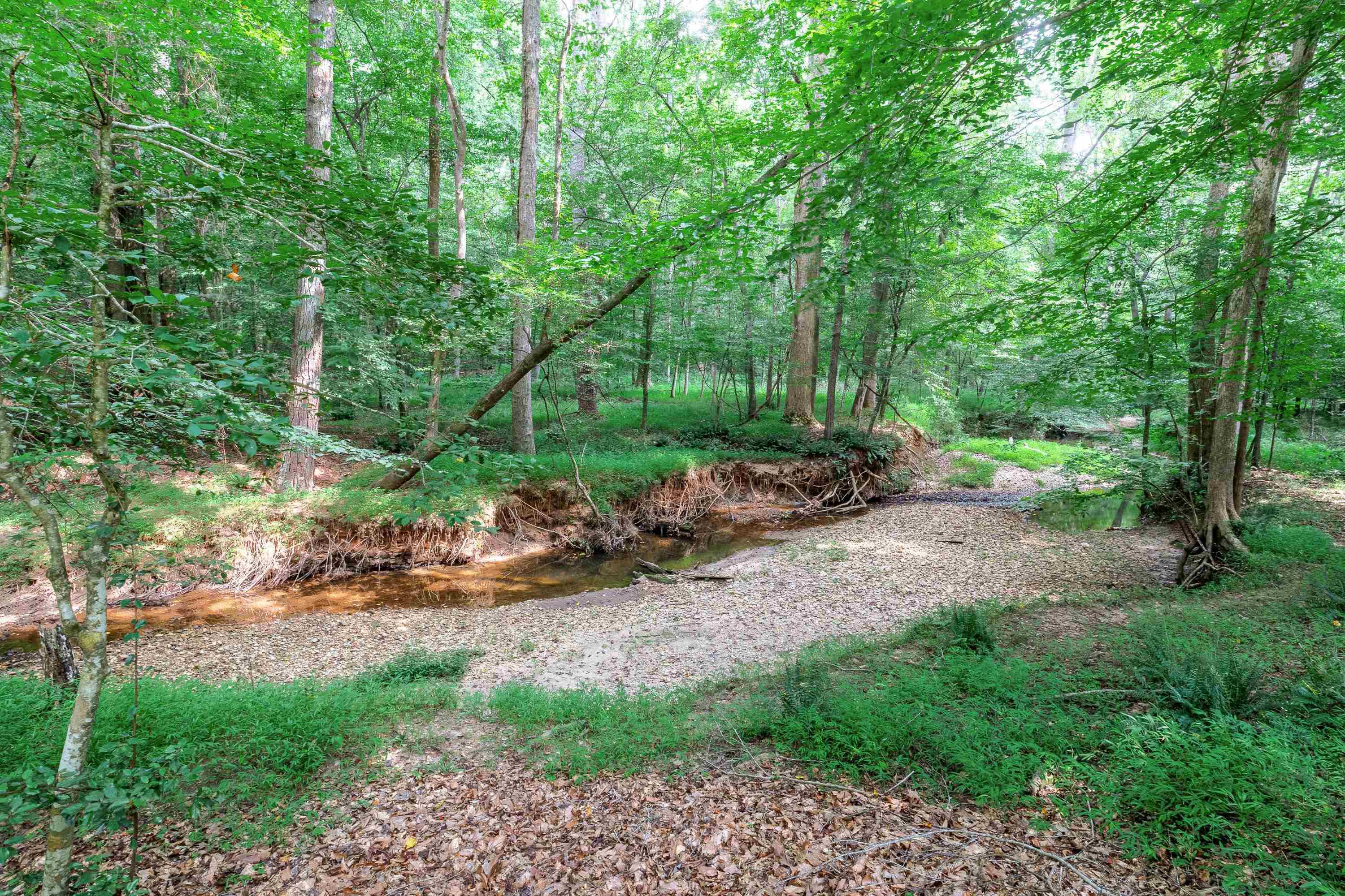 2420 Windsor Trail Raleigh, NC 27615 - Photo 66 of 72 a view of a park with large trees