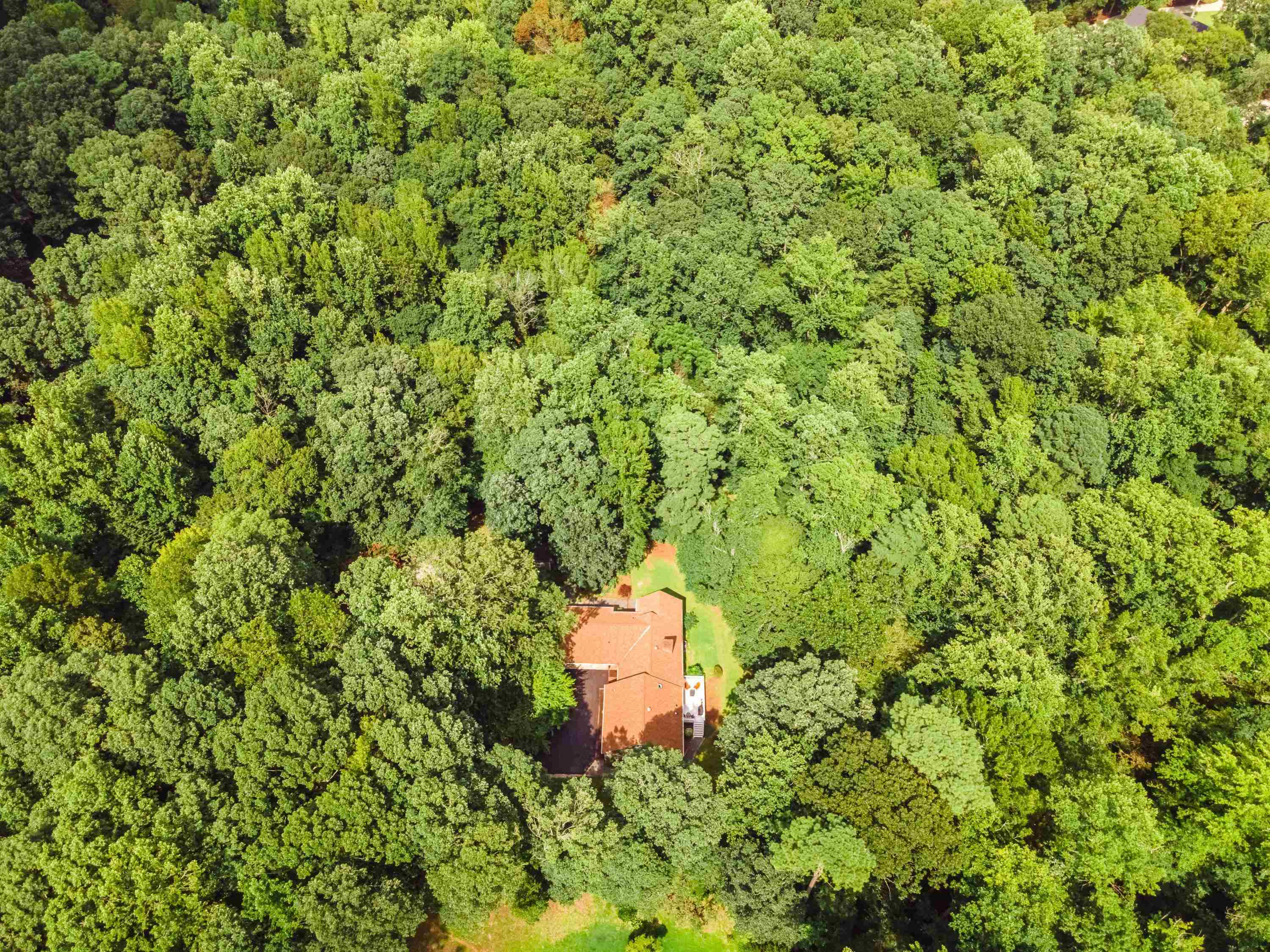 2420 Windsor Trail Raleigh, NC 27615 - Photo 68 of 72 Photo 90