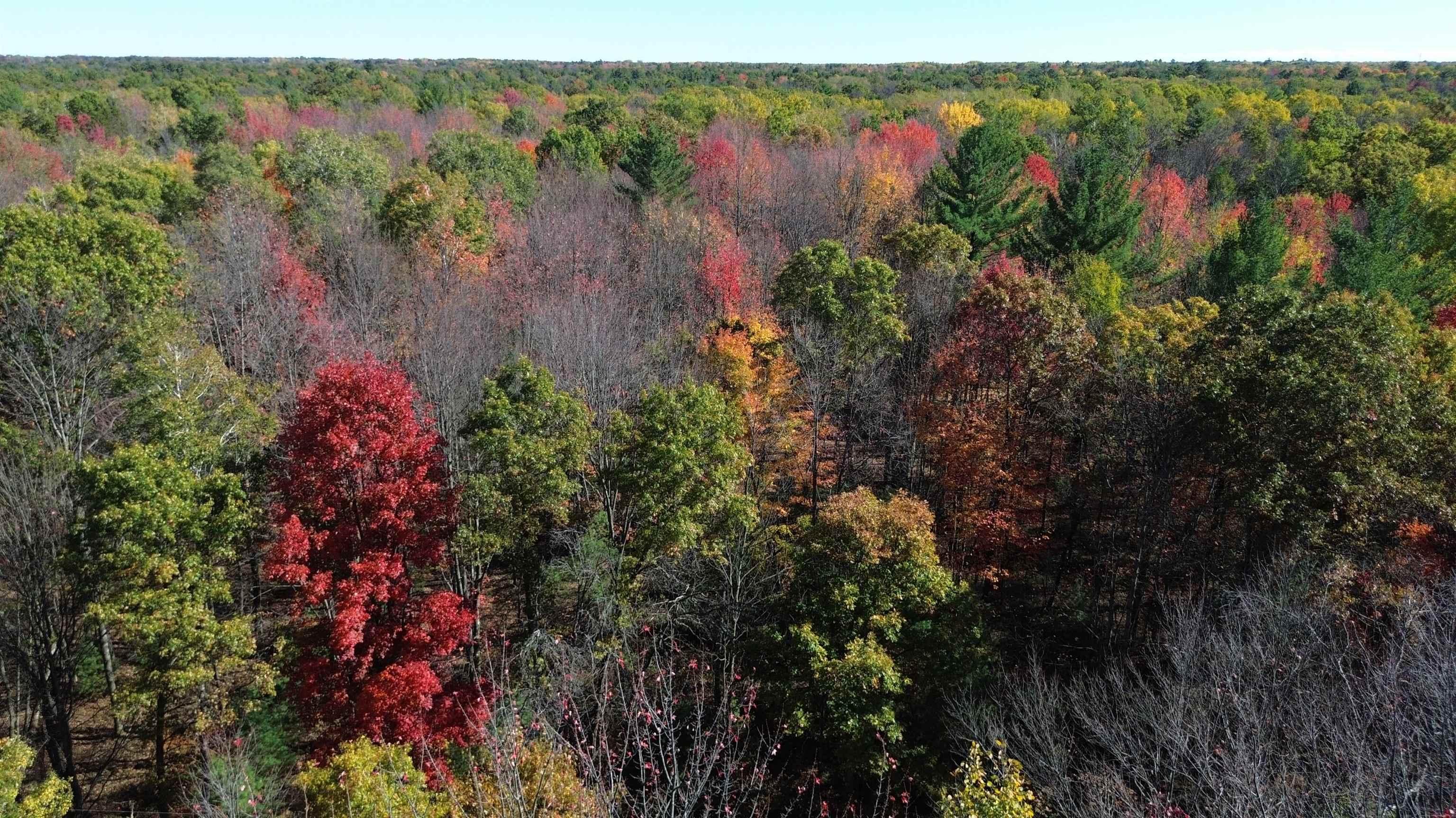 0 Timber Trail Prescott, MI 48756 - Photo 2 of 44