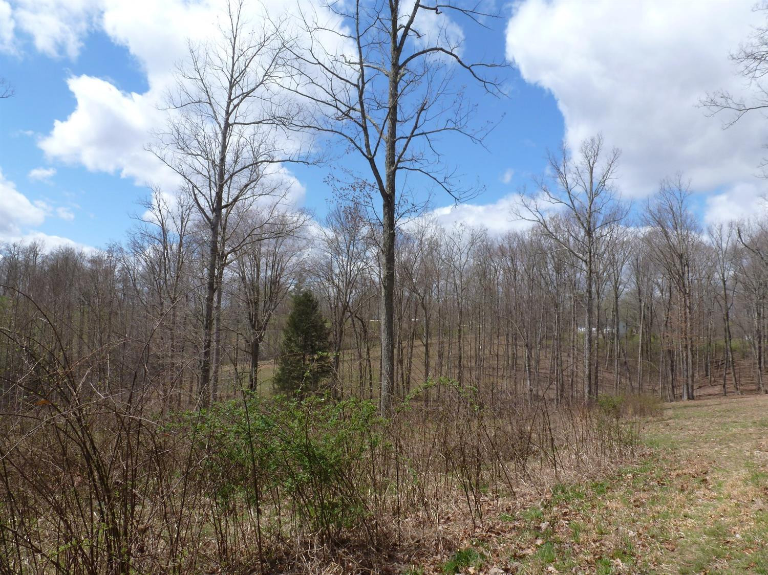 3821 Amos Ridge Road Frenchburg, KY 40322 - Photo 45 of 88 Photo 45