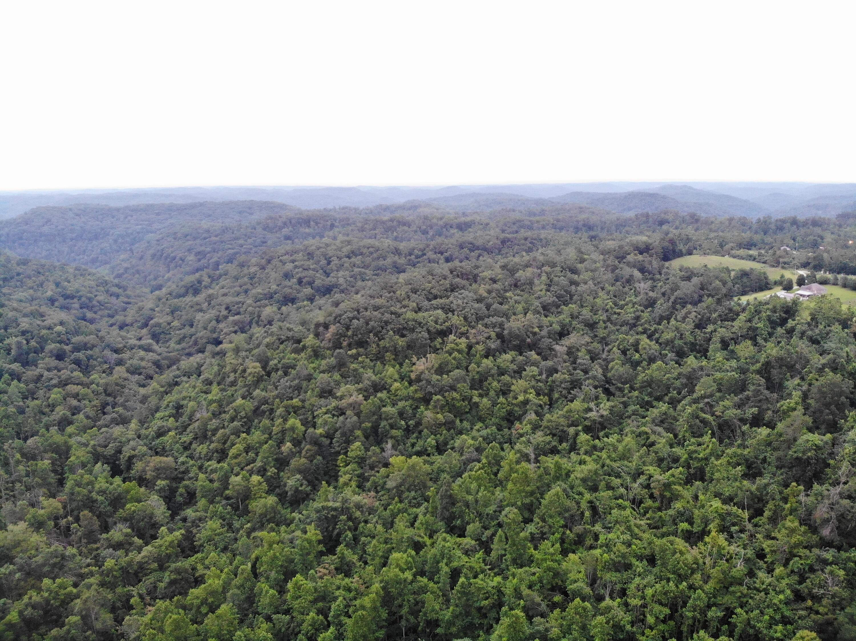 9015 McKee Road Irvine, KY 40336 - Photo 9 of 33 DJI_0011