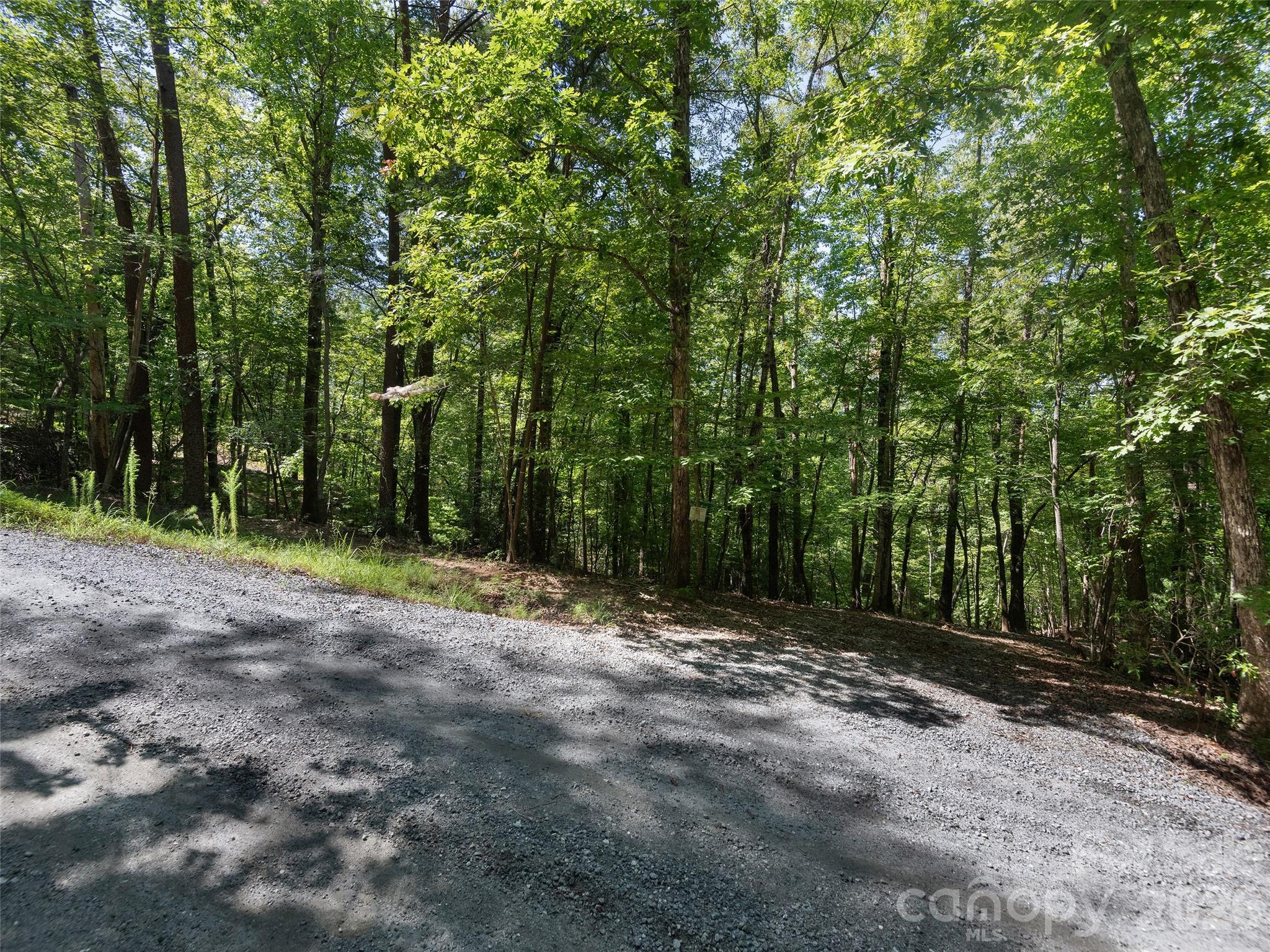 Lot #13 South Cove Rd Mill Spring Mill Spring, NC 28756 - Photo 7 of 16 a view of outdoor space with trees