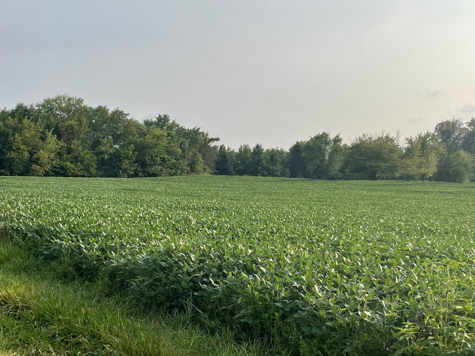 0 Greely Chapel Road Lima, OH 45806 - Photo 3 of 6