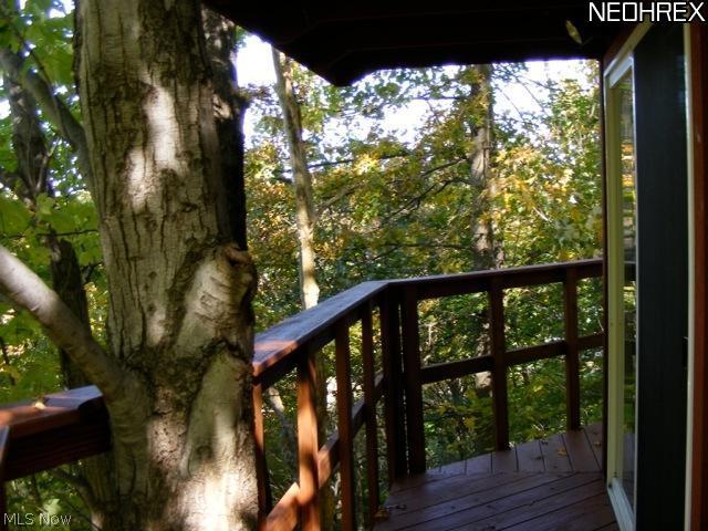 Tree House Balcony