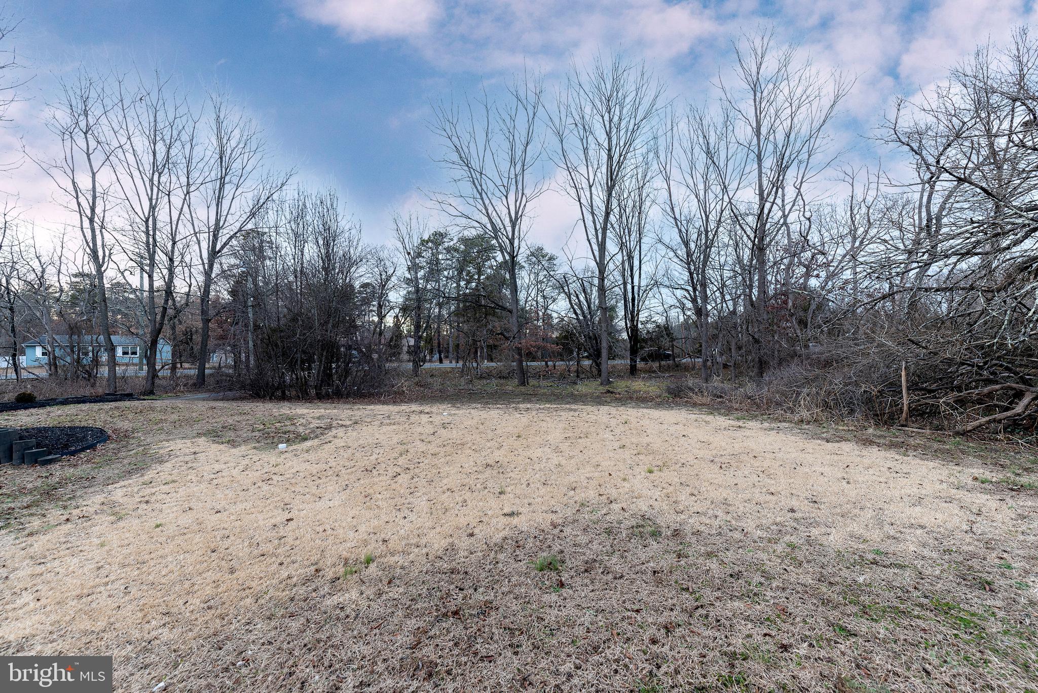 997 Williamstown Road Franklinville, NJ 08322 - Photo 5 of 62 a view of backyard with green space