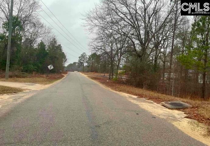 669 Clay Hill Road Pelion, SC 29123 - Photo 3 of 3