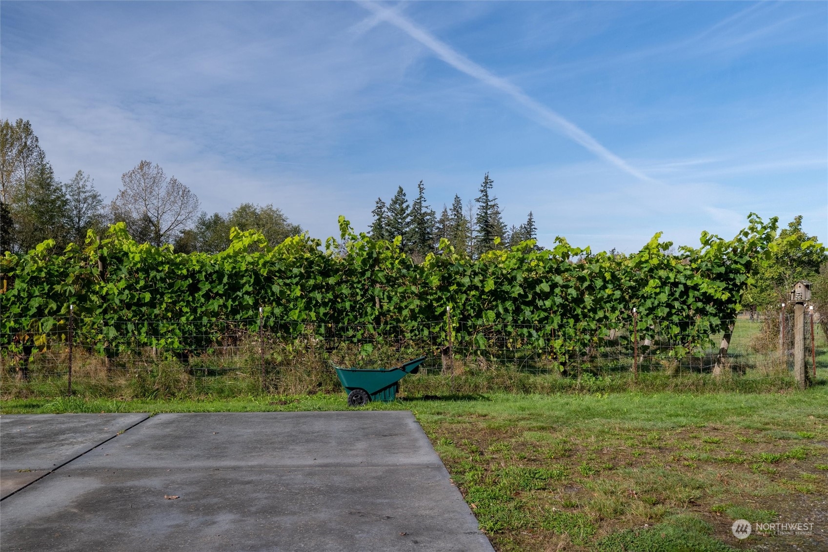 3800 Gilmore Road Everson, WA 98247 - Photo 34 of 40