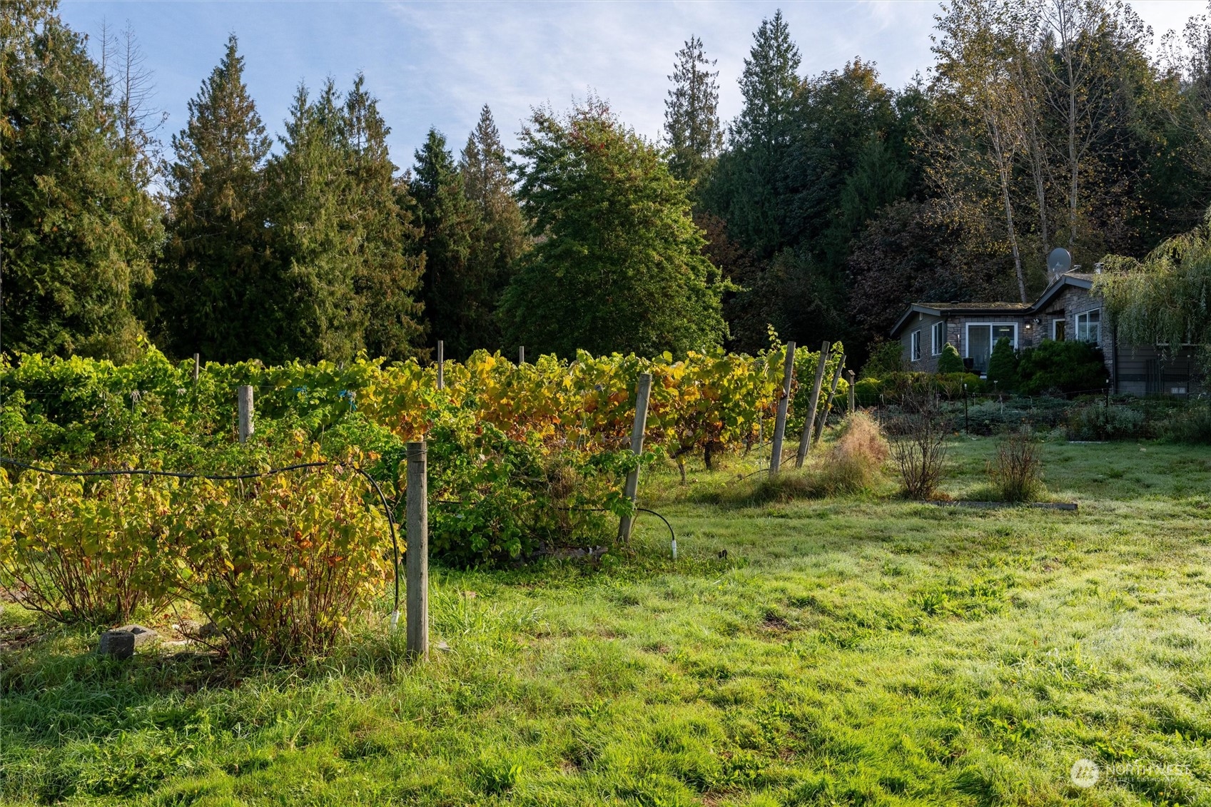3800 Gilmore Road Everson, WA 98247 - Photo 36 of 40