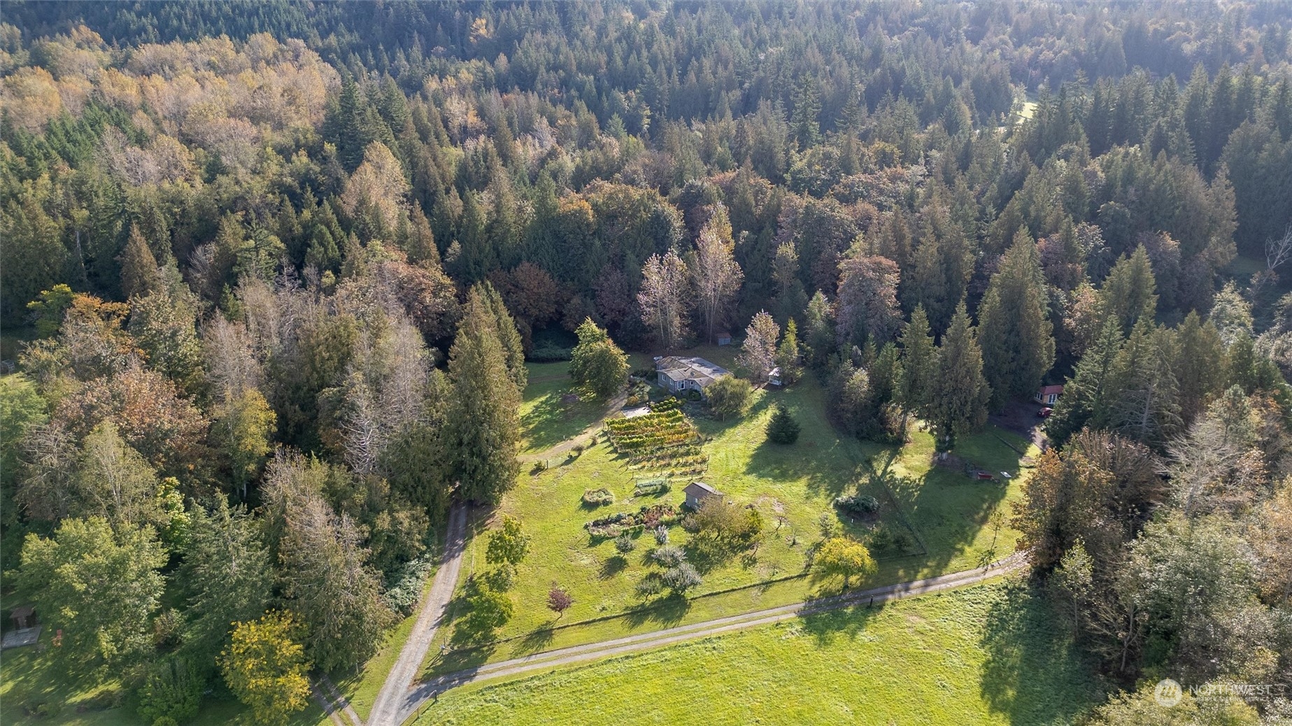 3800 Gilmore Road Everson, WA 98247 - Photo 7 of 40