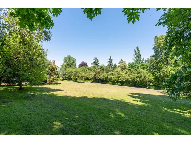 a view of an outdoor space and a yard
