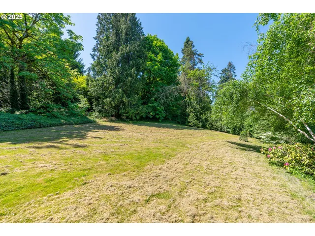 a view of a backyard