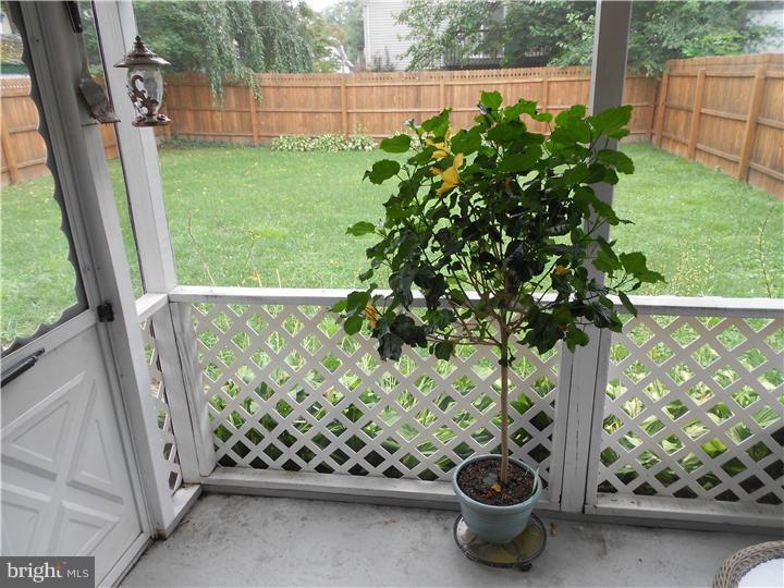 218 Beech Road Wallingford, PA 19086 - Photo 18 of 23 Porch