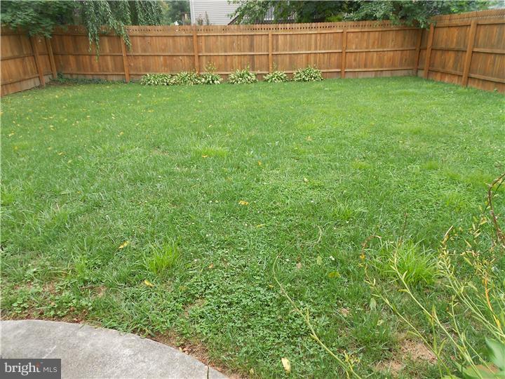 218 Beech Road Wallingford, PA 19086 - Photo 20 of 23 Back Yard