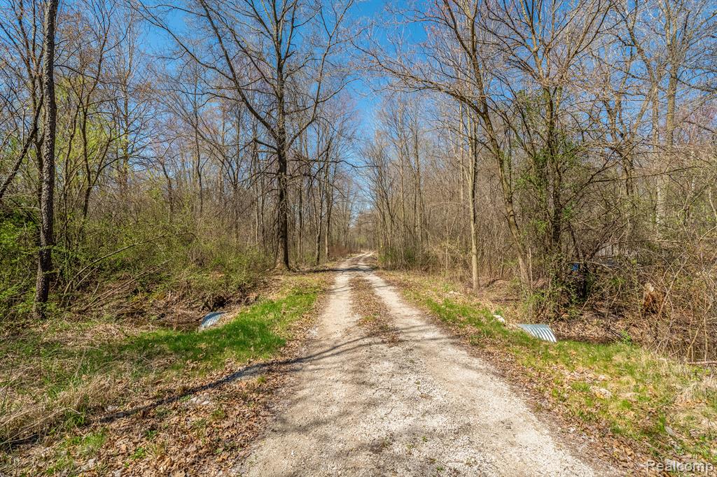 22152 Sherwood Road Belleville, MI 48111 - Photo 20 of 28 Gallery Image 20
