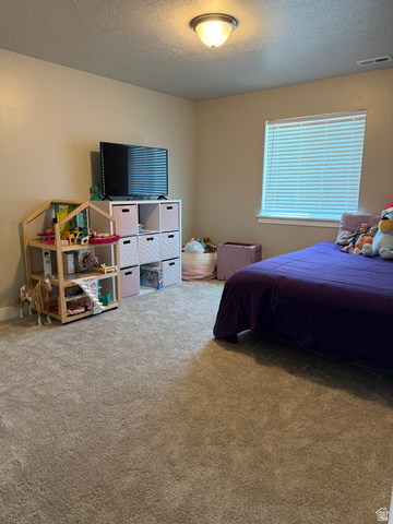 437 North 650 E Street Springville, UT 84663 - Photo 26 of 29