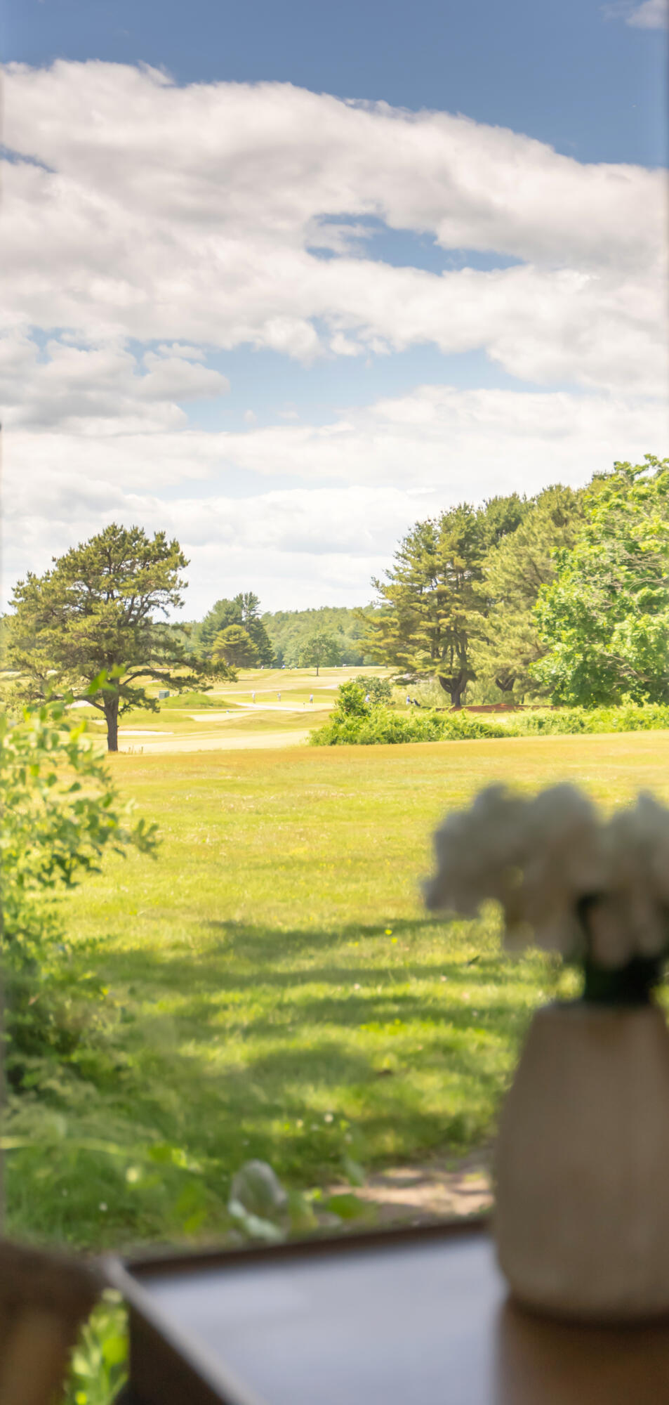 1 River Road Kennebunkport, ME 04046 - Photo 27 of 76 Golf Course View