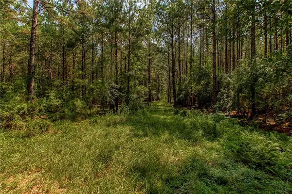 $495,000 | 1601 Sunset Drive, Bogalusa, LA 70427