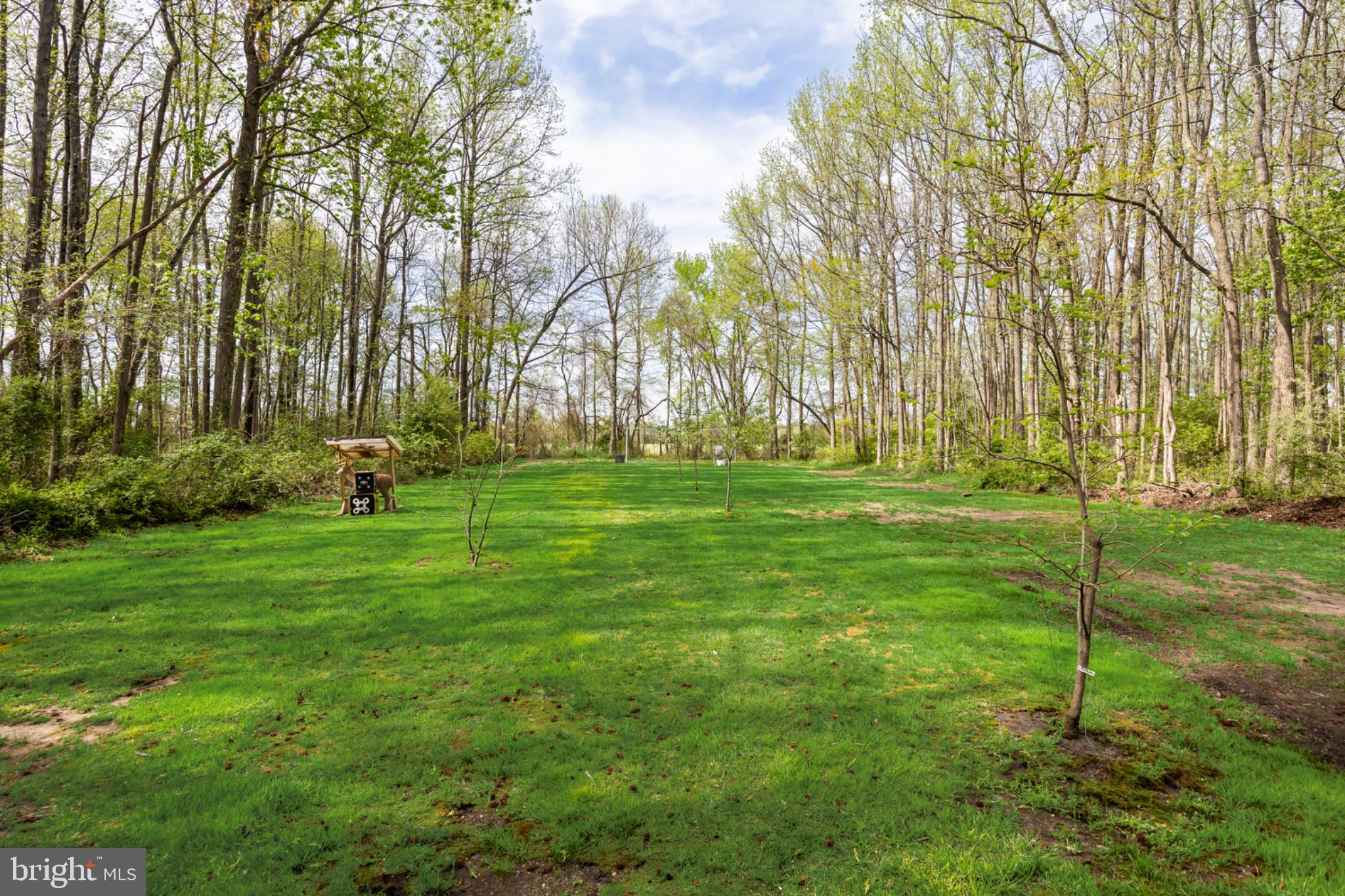 37 Hawkin Road Medford, NJ 08055 - Photo 38 of 54 Serene green oasis in the woods.