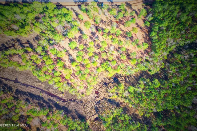 $472,900 | 203 Paradox Point Drive, Aurora, NC 27806