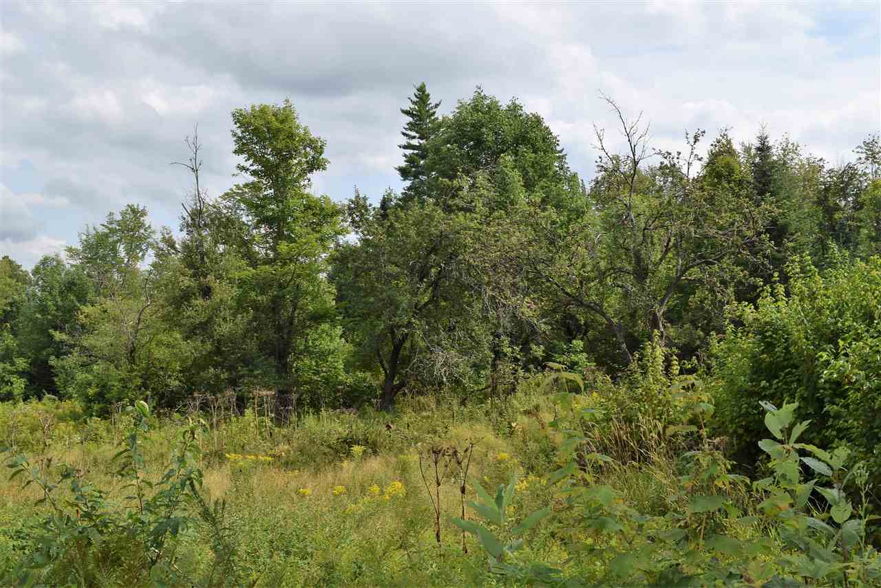 0 Hall Road Lunenburg, VT 05906 - Photo 6 of 14