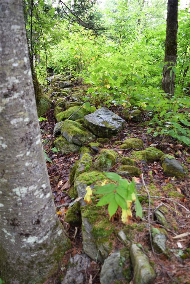 0 Hall Road Lunenburg, VT 05906 - Photo 7 of 14