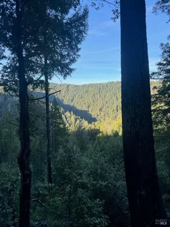 $12,500,000 | 8555 Signal Ridge Road, Philo, CA 95466