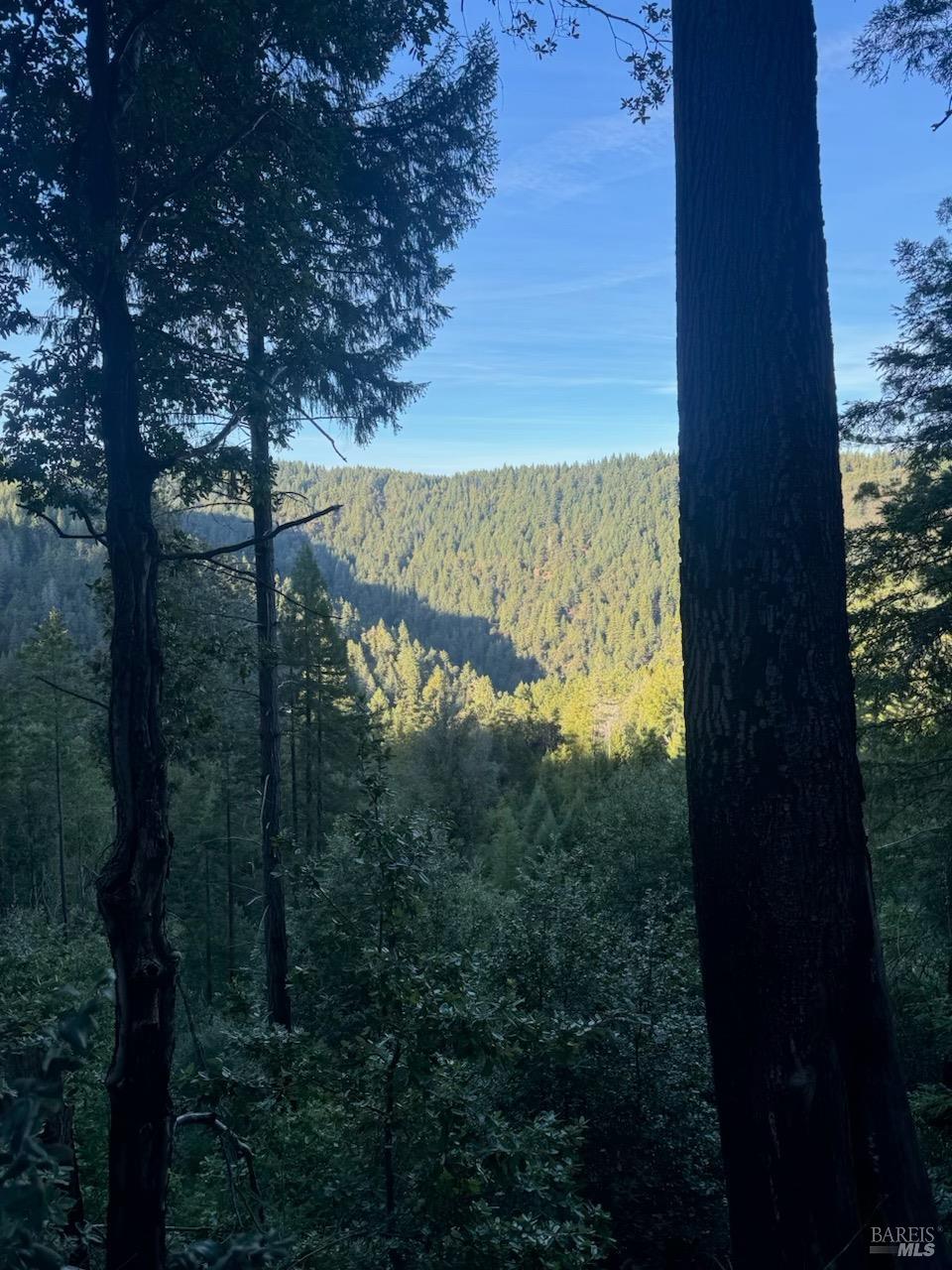 8555 Signal Ridge Road Philo, CA 95466 - Photo 2 of 4