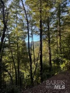 8555 Signal Ridge Road Philo, CA 95466 - Photo 4 of 4