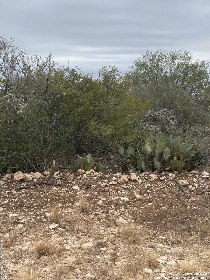 644 Legend Hills Uvalde, TX 78801 - Photo 4 of 4