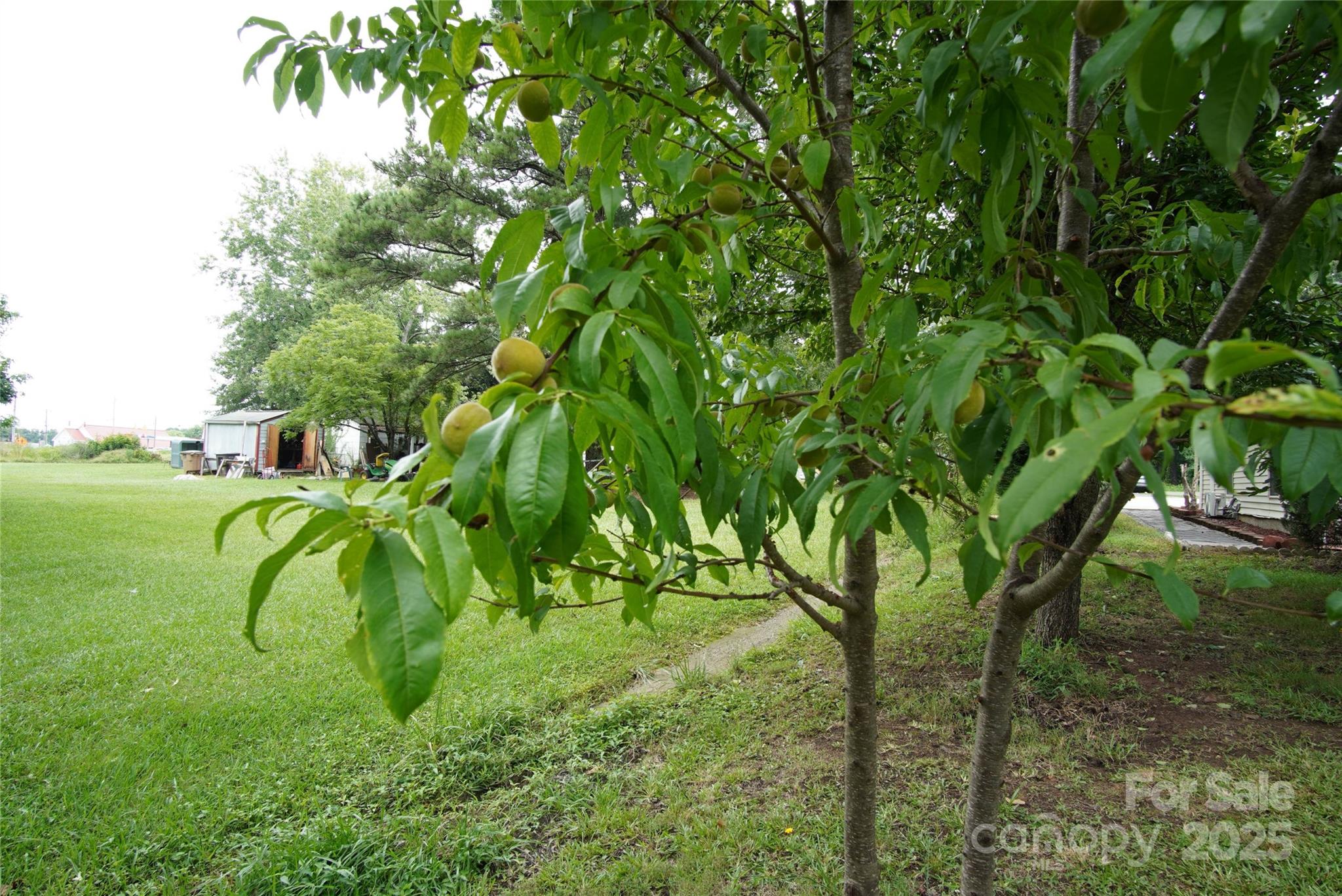 3974 Pleasant Plains Road Matthews, NC 28104 - Photo 39 of 42 Gallery Image 39