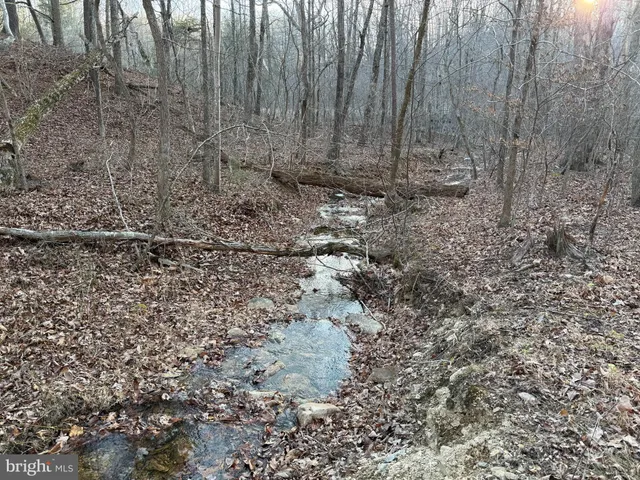 $19,900 | Lot 90-a Vesey Drive, Front Royal, VA 22630