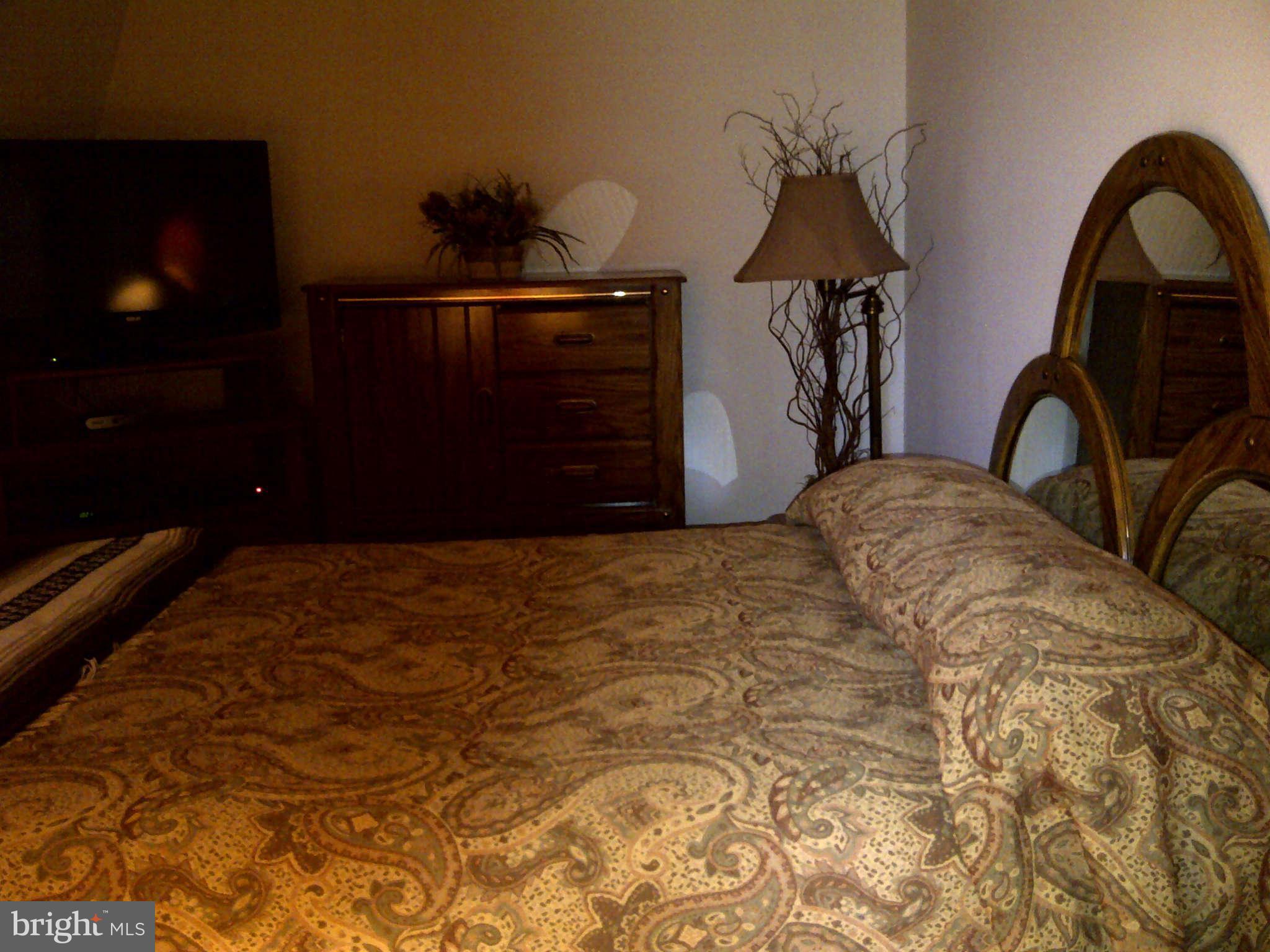 1355 Riggs Street Northwest Washington, DC 20009 - Photo 4 of 9 Bedroom (Master)