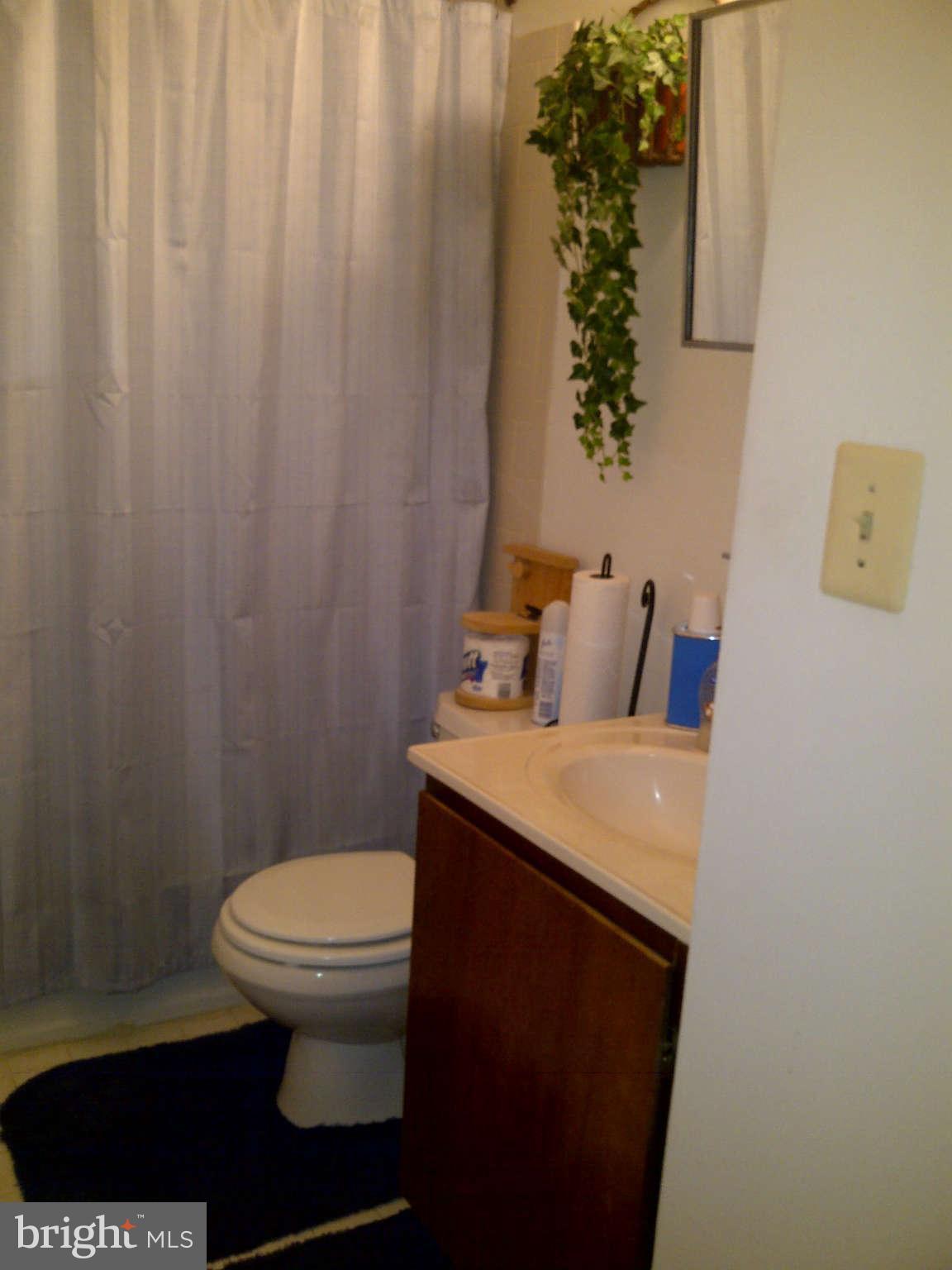 1355 Riggs Street Northwest Washington, DC 20009 - Photo 5 of 9 Bath