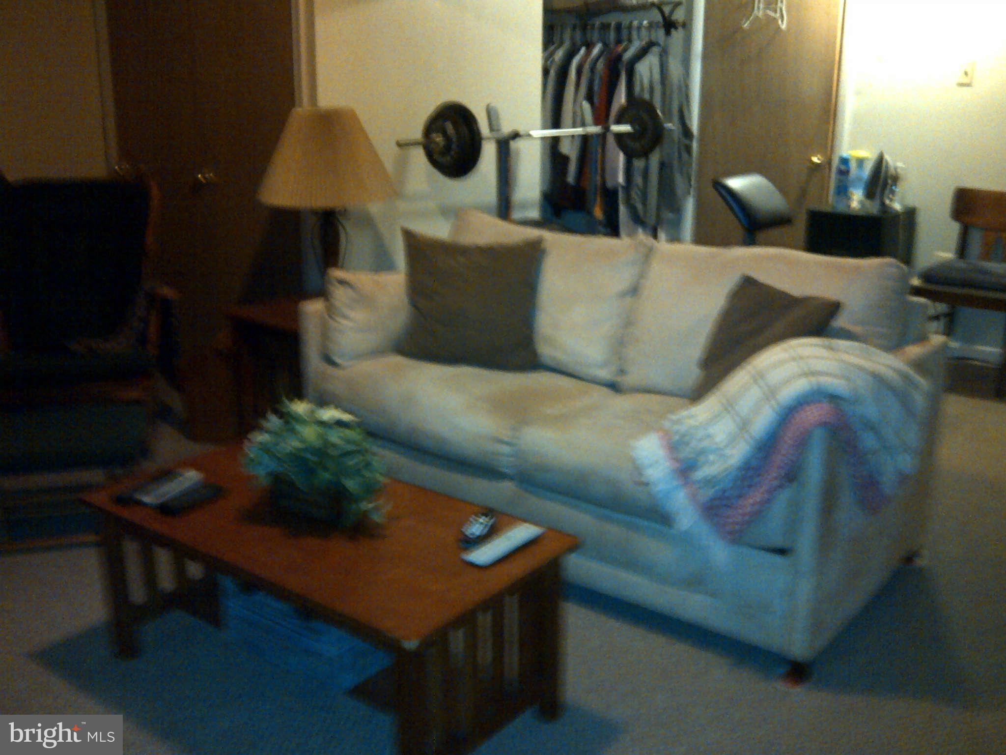 1355 Riggs Street Northwest Washington, DC 20009 - Photo 7 of 9 Basement