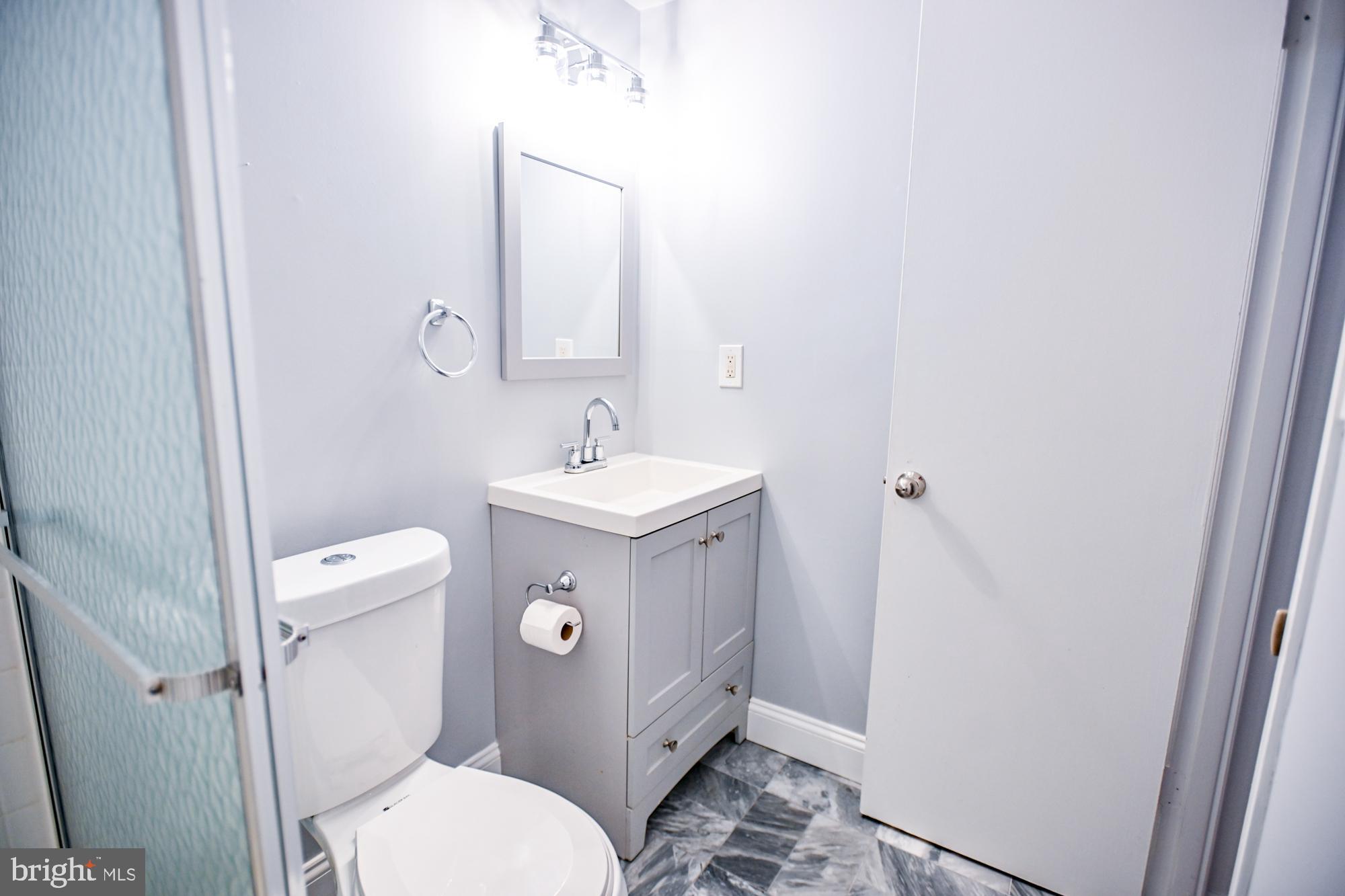 733 Stoney Spring Drive Baltimore, MD 21210 - Photo 43 of 53 Lower level full bathroom