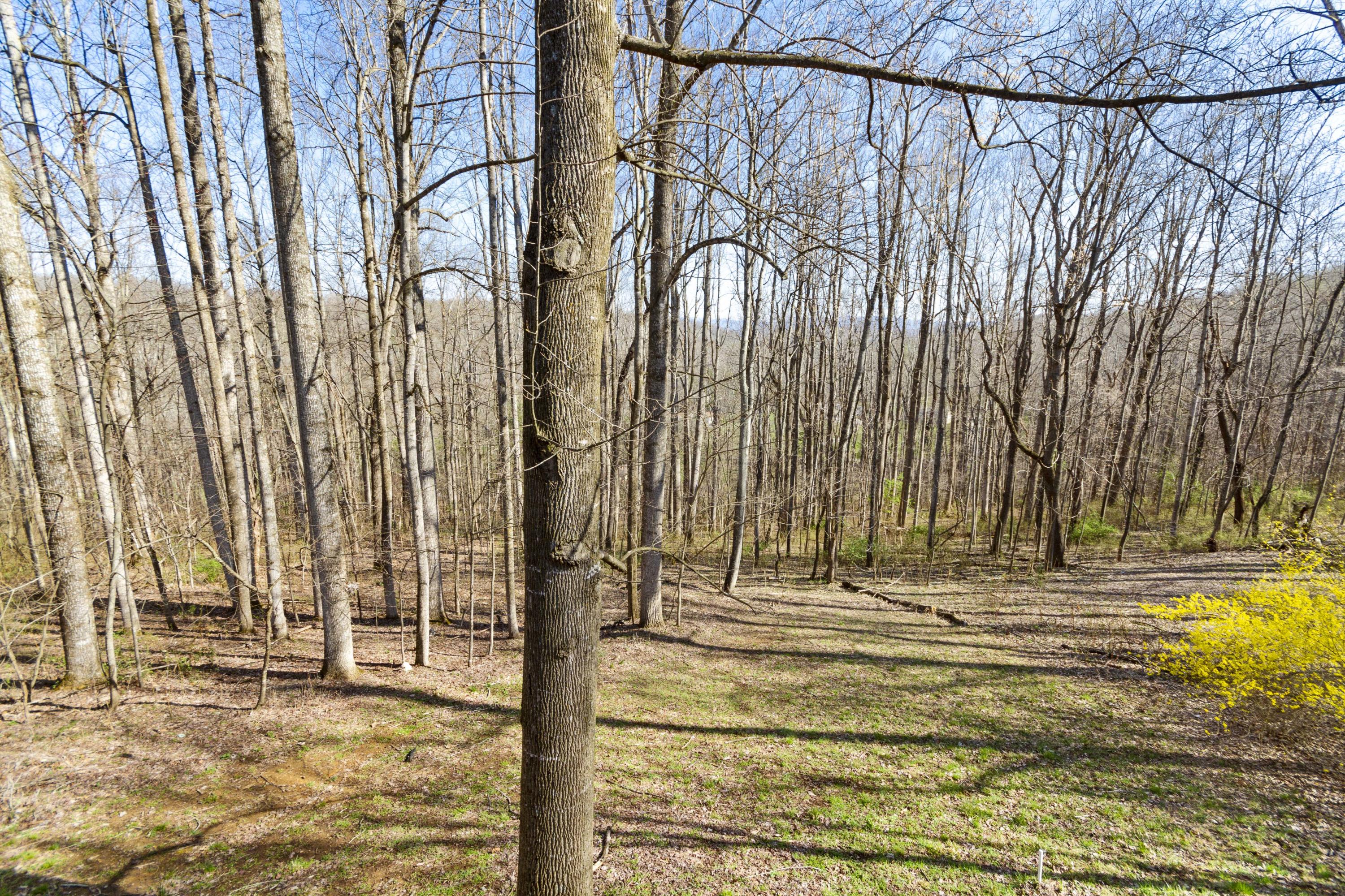 730 Mt Pleasant Road Shawsville, VA 24162 - Photo 48 of 78 43