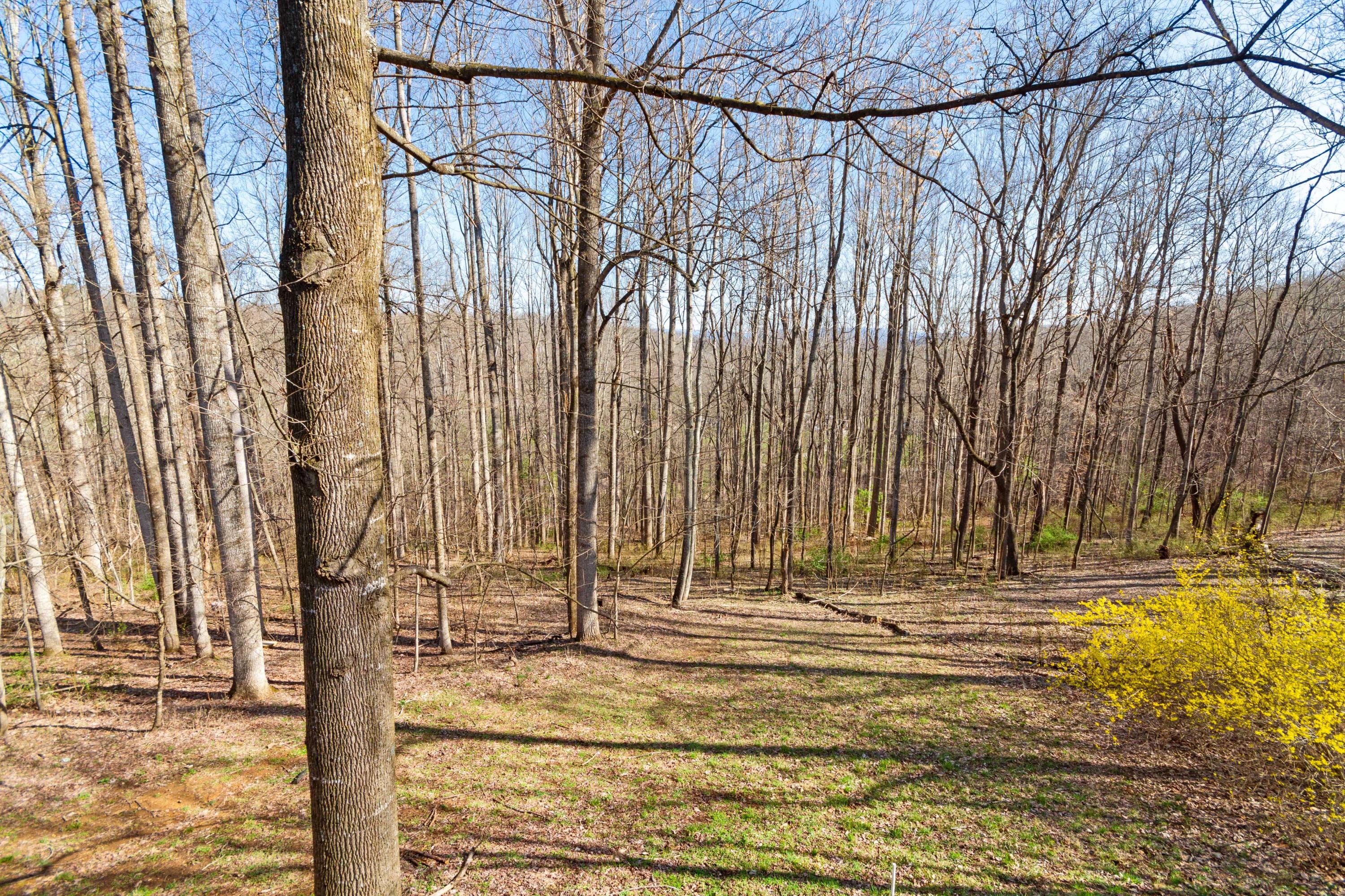 730 Mt Pleasant Road Shawsville, VA 24162 - Photo 49 of 78 44