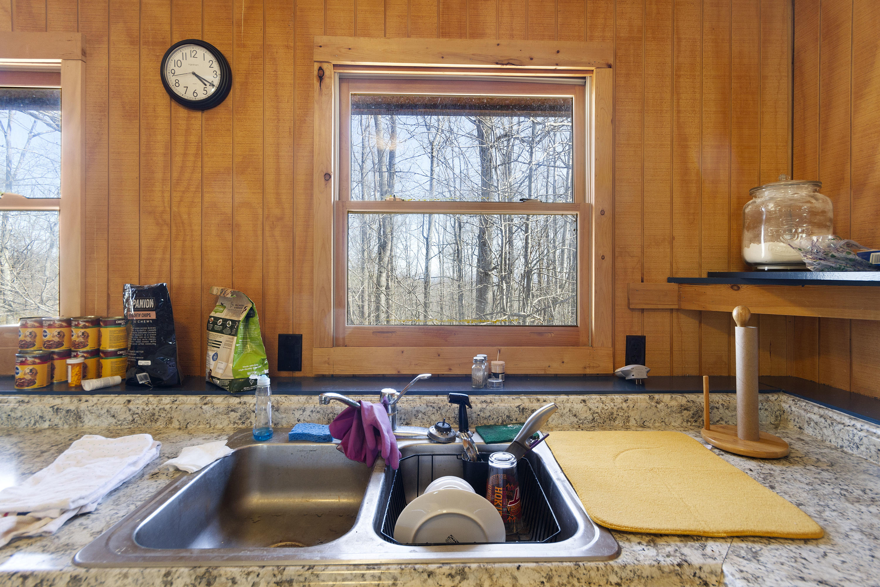 730 Mt Pleasant Road Shawsville, VA 24162 - Photo 66 of 78 81