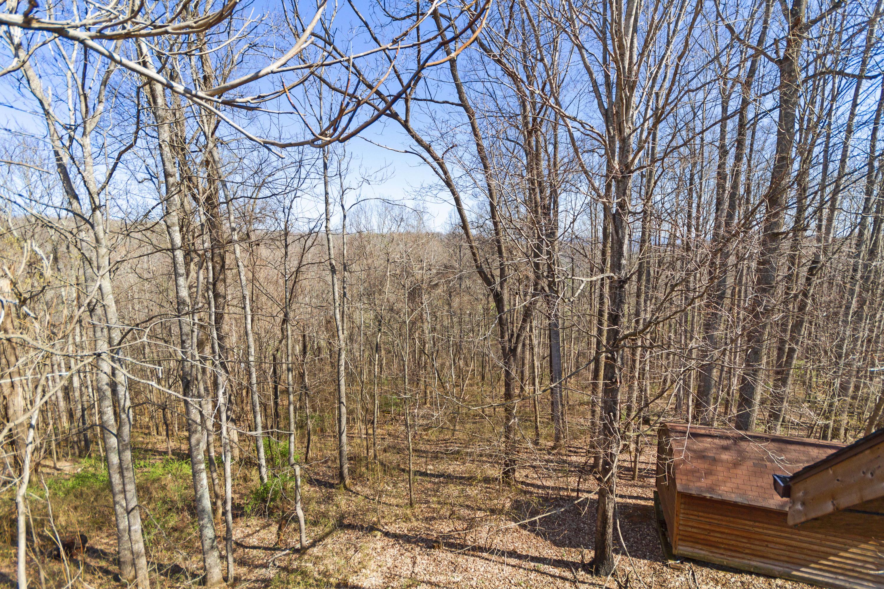 730 Mt Pleasant Road Shawsville, VA 24162 - Photo 74 of 78 74