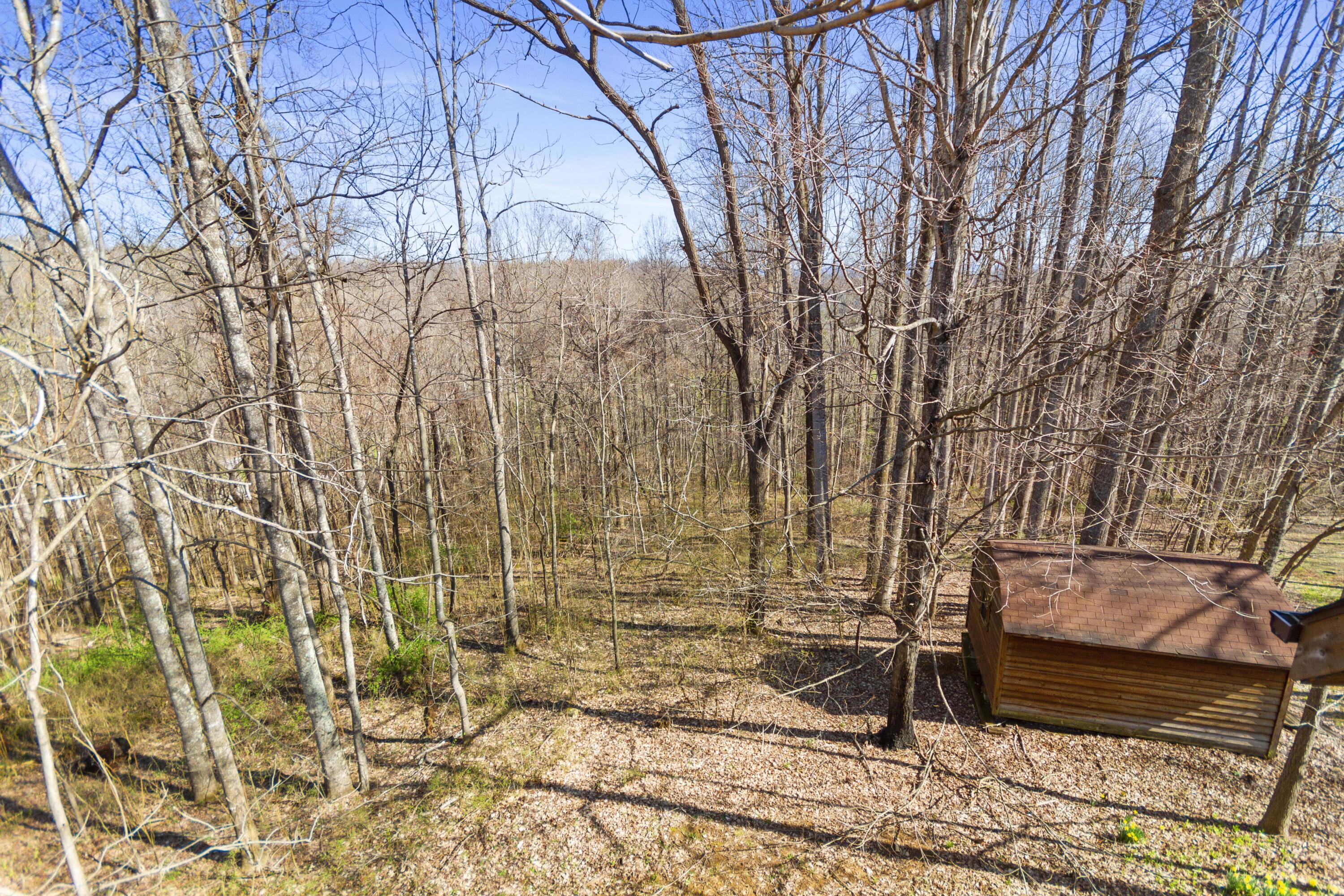 730 Mt Pleasant Road Shawsville, VA 24162 - Photo 75 of 78 75