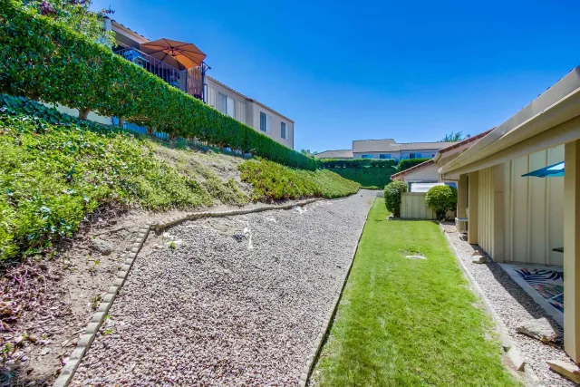 a backyard with potted plants and a large tree