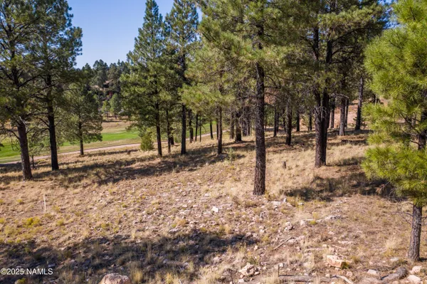 $485,000 | 2900 South Solitaires Canyon Drive, Unit 345, Flagstaff, AZ 86005