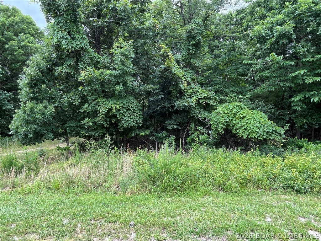 Lot 1050 Bittersweet Rd Lake Lake Ozark, MO 65049 - Photo 5 of 7