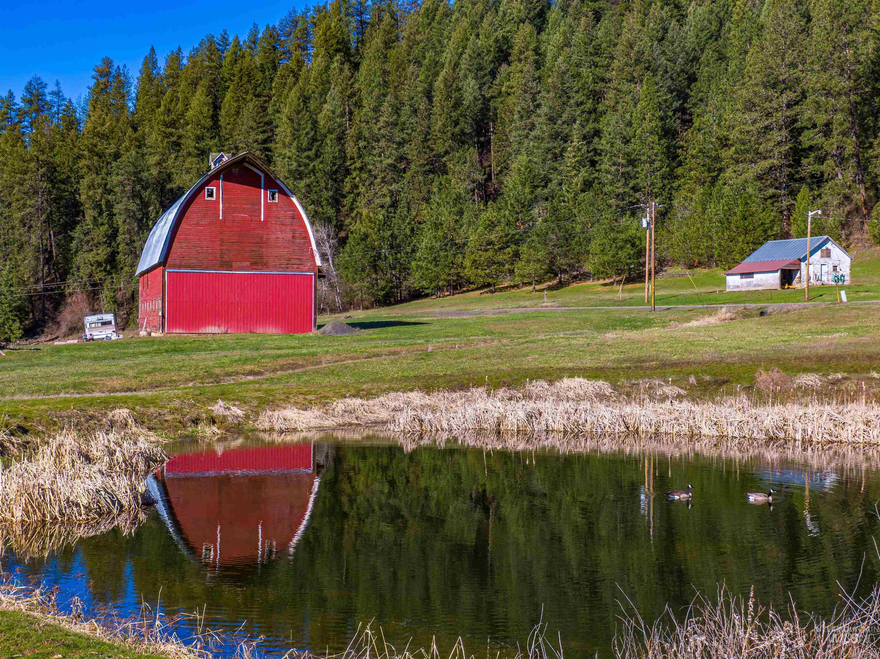 1050 Garden Gulch Road Harvard, ID 83834 - Photo 44 of 49