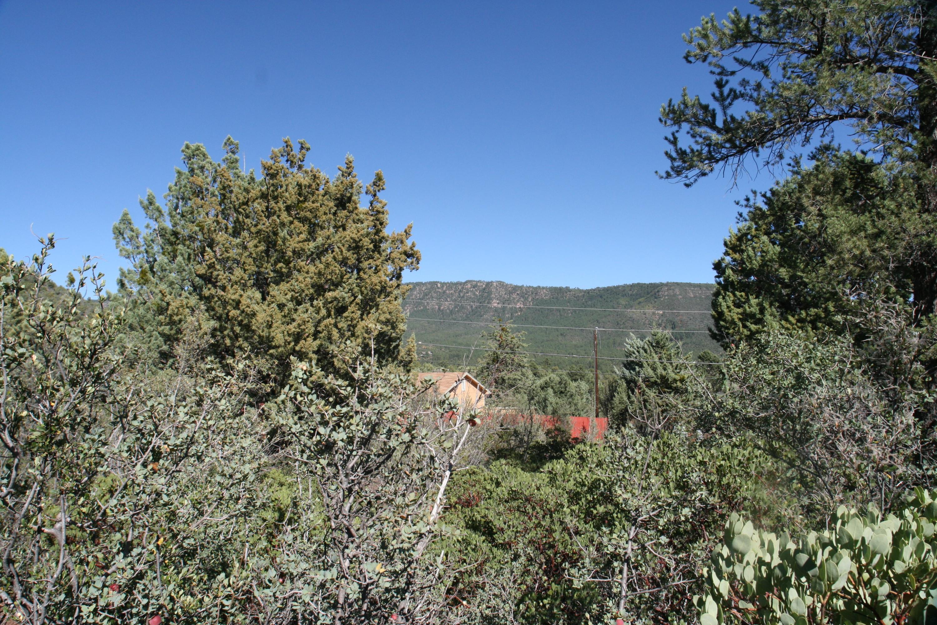 8 North H N Valley View Rd Pine Pine, AZ 85544 - Photo 7 of 9