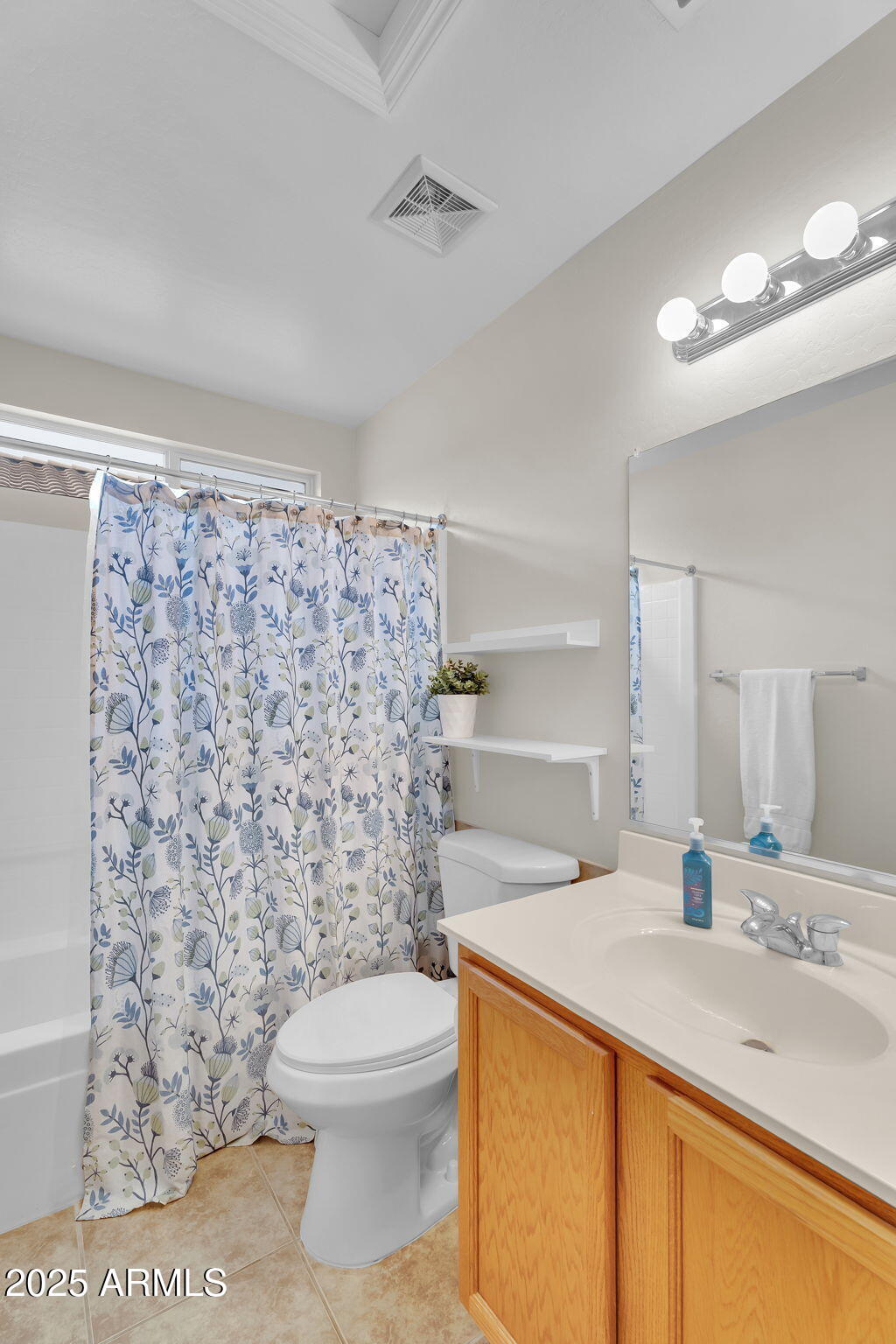 4013 East Superior Road San Tan Valley, AZ 85143 - Photo 18 of 31 a bathroom with a sink a toilet and shower