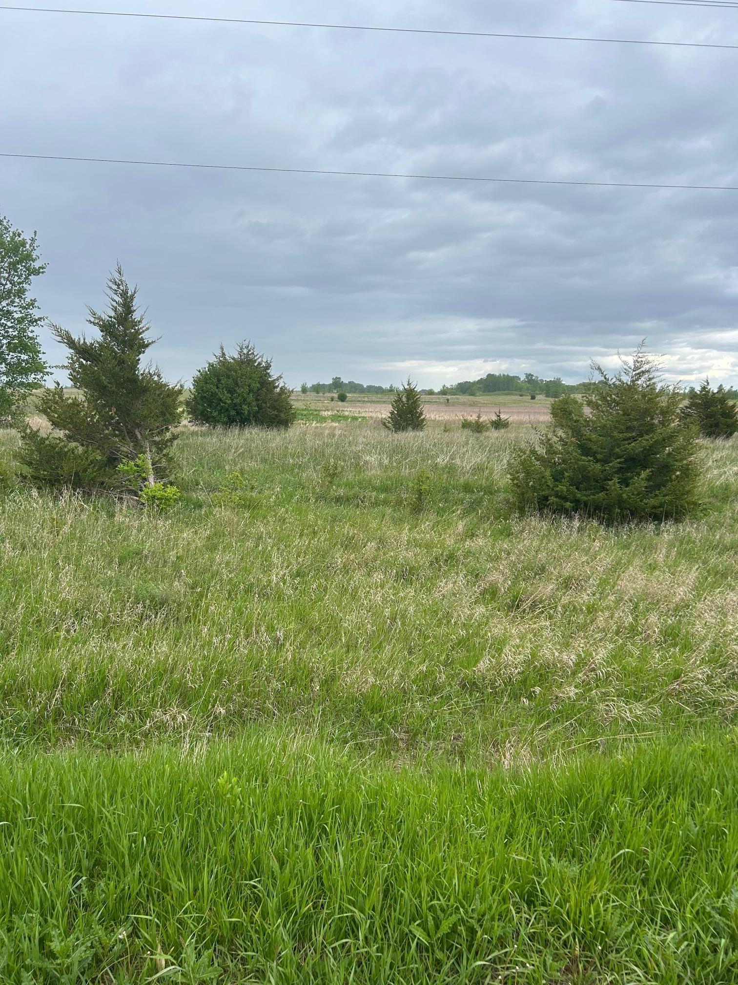 975 175th Avenue Southeast Kerkhoven, MN 56252 - Photo 23 of 34