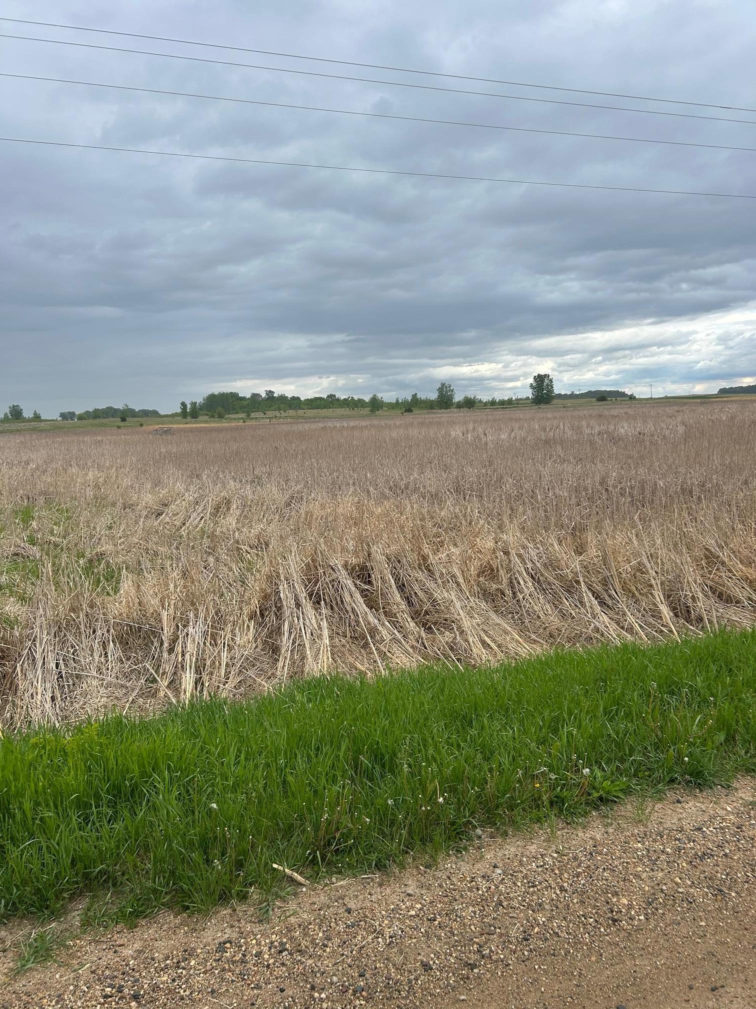 975 175th Avenue Southeast Kerkhoven, MN 56252 - Photo 24 of 34