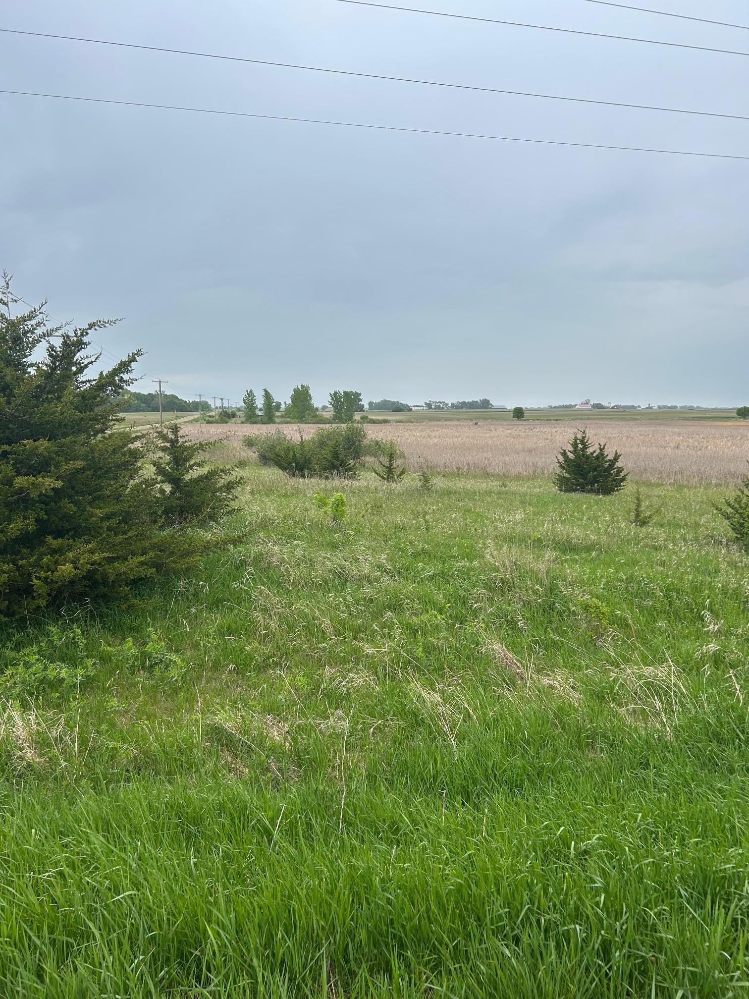 975 175th Avenue Southeast Kerkhoven, MN 56252 - Photo 25 of 34