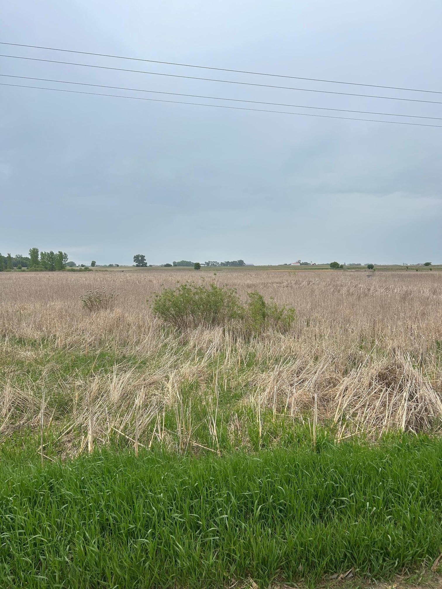 975 175th Avenue Southeast Kerkhoven, MN 56252 - Photo 26 of 34